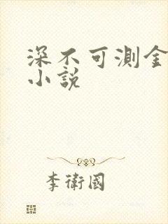 深不可测金银花小说封面