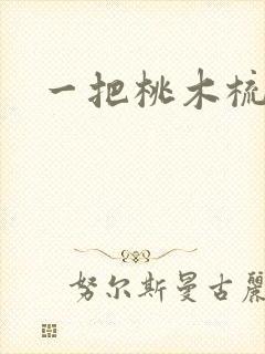 一把桃木梳封面