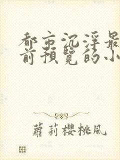 都市沉浮最快超前预览的小说3030