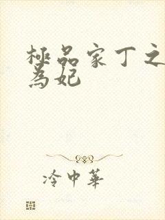 极品家丁之册母为妃