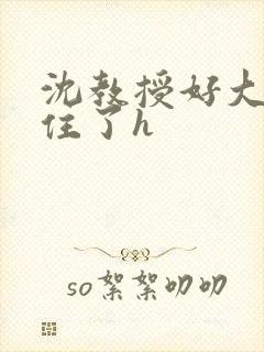 沈教授好大含不住了h