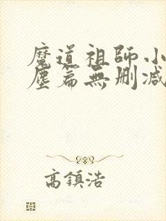 魔道祖师小说避尘篇无删减封面