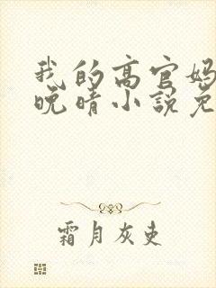 我的高官妈妈苏晚晴小说免费阅读封面