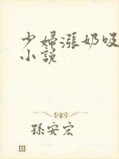 少妇涨奶吸奶头小说封面