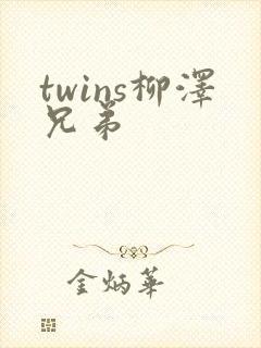 twins柳泽兄弟