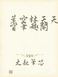 叶空林夭夭无弹窗笔趣阁