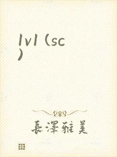 1v1 (sc)封面