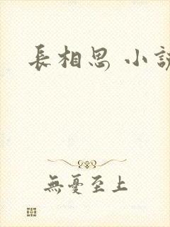 长相思 小说