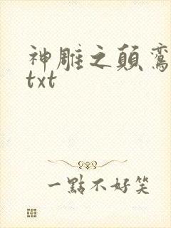 神雕之颠鸾倒凤txt封面