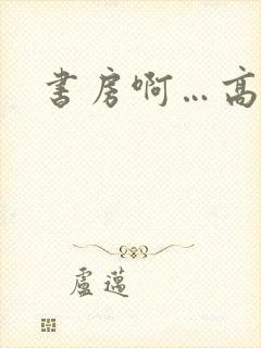 书房啊…高h封面