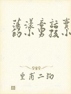 荡漾童话卖火柴的小男孩小说封面