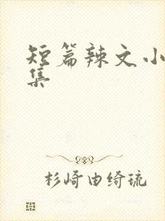 短篇辣文小说合集