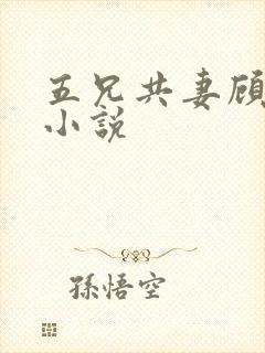 五兄共妻顾心儿小说