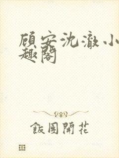 顾安沈澈小说笔趣阁