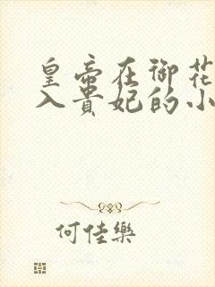 皇帝在御花园进入贵妃的小说封面