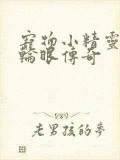 宠物小精灵之写轮眼传奇