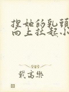 捏她的乳头用力向上拉起小说