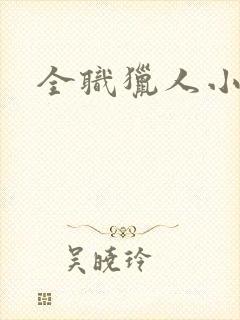 全职猎人小说封面