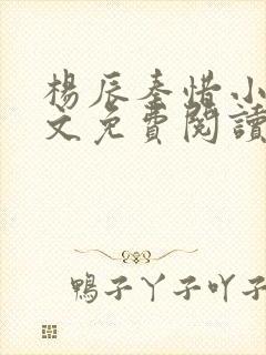 杨辰秦惜小说全文免费阅读最新封面