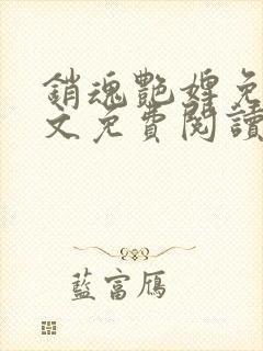 销魂艳婢免费全文免费阅读