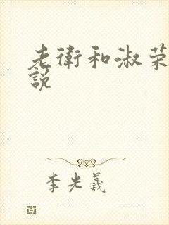 老卫和淑荣的小说封面