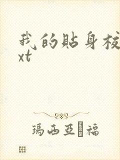 我的贴身校花txt