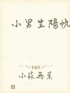 小男生阳帆封面