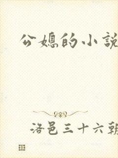 公媳的小说