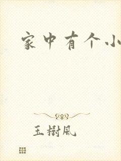家中有个小姨子封面