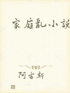 家庭乱小说封面