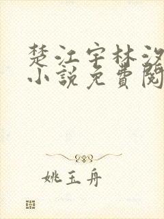 楚江宇林汐叶辞小说免费阅读