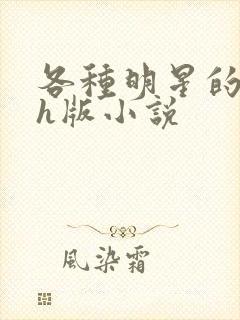 各种明星的综艺h版小说