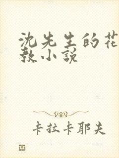 沈先生的花式调教小说