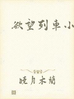 欲望列车小说