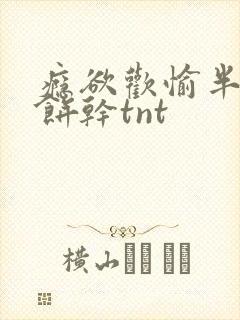 瘾欲欢愉半块小饼干tnt