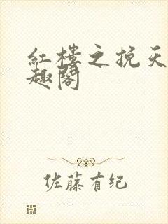 红楼之挽天倾笔趣阁