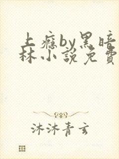 上瘾by黑暗森林小说免费封面