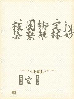 校园绑定jy收集系统林妙妙