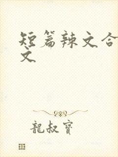 短篇辣文合集h文