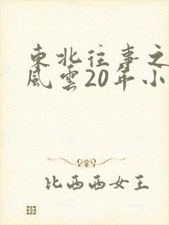 东北往事之黑道风云20年小说