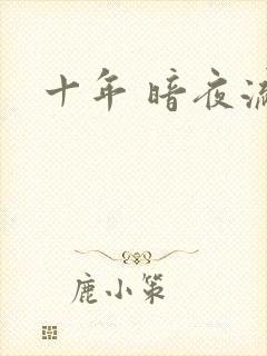 十年 暗夜流光