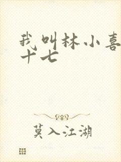 我叫林小喜今年十七