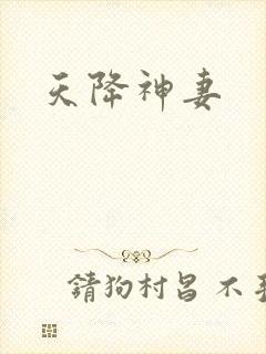 天降神妻