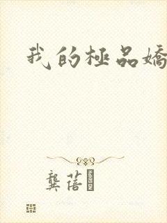 我的极品娇妻