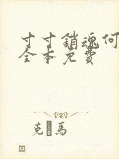 寸寸销魂何生祥全本免费