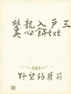 双龙入户三人行夹心饼txt
