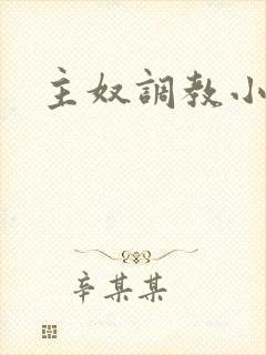 主奴调教小说封面