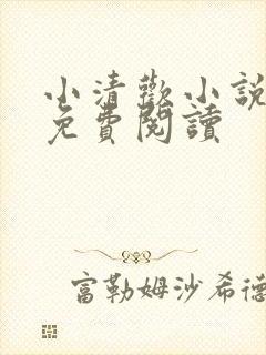 小清欢小说全文免费阅读