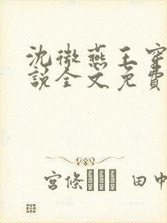 沈微燕王穿越小说全文免费阅读