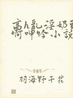 高h乱淫奶头嗯啊呻吟小说h